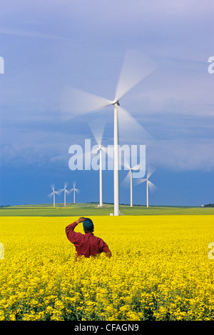 Un agricoltore opinioni spostando le turbine eoliche da una fioritura di canola field, San Leon, Manitoba, Canada. Foto Stock