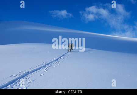 Accoppiare il telemark in Wapta Icefields, Alberta, Canada. Foto Stock