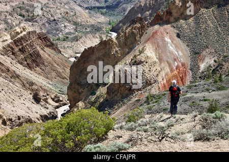 Escursionismo La Churn Creek Valley in Churn Creek Area Protetta, British Columbia, Canada. Foto Stock