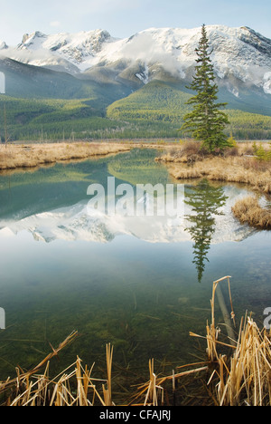 Talbot lago, il Parco Nazionale di Jasper, Alberta, Canada. Foto Stock