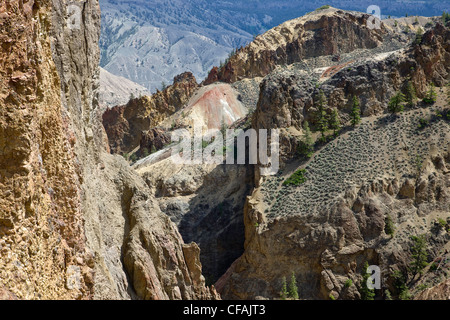 Il tasso di abbandono Creek Canyon nel Churn Creek Area Protetta, British Columbia, Canada. Foto Stock