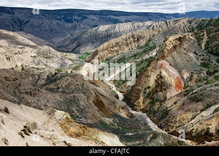 Il tasso di abbandono Creek Canyon nel Churn Creek Area Protetta, British Columbia, Canada. Foto Stock