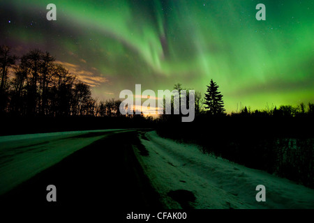 Aurora boreale (Northern lights) tende di luce e la strada in inverno in Elk Island National Park, Alberta, Canada. Foto Stock