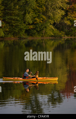 Giovane uomo kayak con cane il gabbiano lago vicino Gravenhurst, Ontario, Canada. Foto Stock