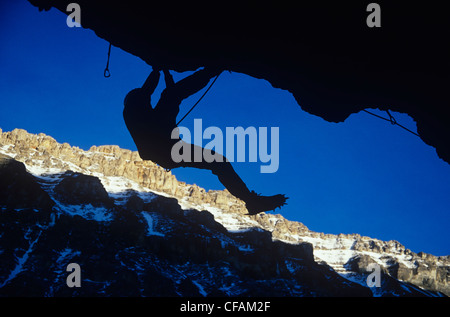 Rocciatore appesi da cliff, Alberta, Canada. Foto Stock