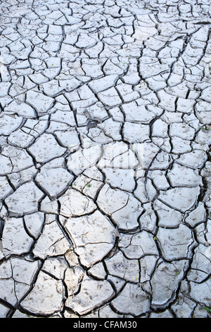 Rotto il fango di argilla nella Valle del Fiume Rosso. Winnipeg, Manitoba, Canada. Foto Stock