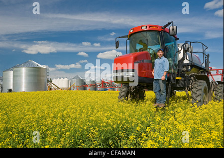 Agricoltore in fiore palcoscenico canola field con gioco elevato irroratrice, nei pressi di Dugald, Manitoba, Canada Foto Stock