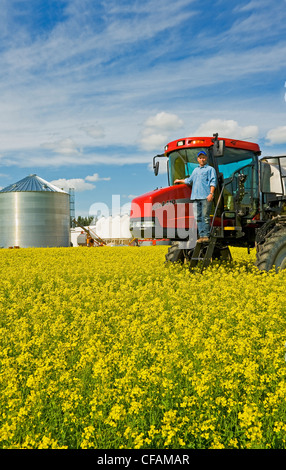 Agricoltore in fiore palcoscenico canola field con gioco elevato in prossimità dell'irroratrice Dugald, Manitoba, Canada Foto Stock