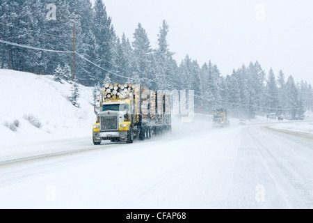 Carrelli registrazione guida in una tempesta di neve sulla Highway 97 vicino a 100 Mile House in British Columbia, Canada Foto Stock