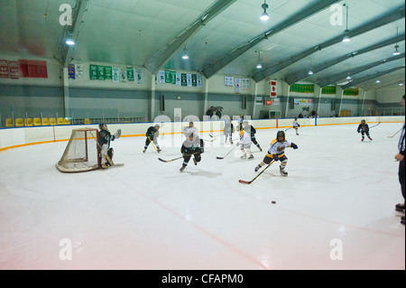 Bambini gioco di hockey in corso su una pista di pattinaggio al coperto, Mildmay, Ontario, Canada Foto Stock