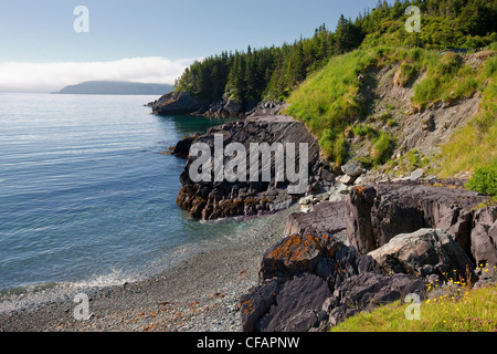 Admiral's Cove costa, Terranova e Labrador, Canada. Foto Stock