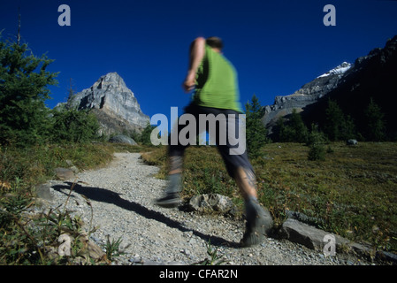 Un giovane atleta maschio in esecuzione sul larice Valley Trail vicino a Mount Temple, Lago Louise, il Parco Nazionale di Banff, Alberta, Canada Foto Stock