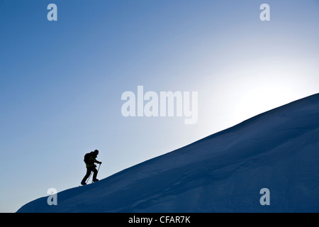 Uno sciatore uptracking nelle prime ore del mattino a Rogers Pass, il Parco Nazionale di Glacier, British Columbia, Canada Foto Stock