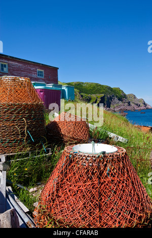 Trappole di granchio, Red Head Cove, Terranova e Labrador, Canada. Foto Stock