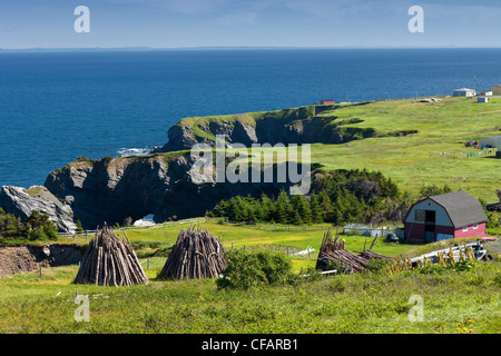 Fienile e pile di legno al punto bruciato, Terranova e Labrador, Canada. Foto Stock