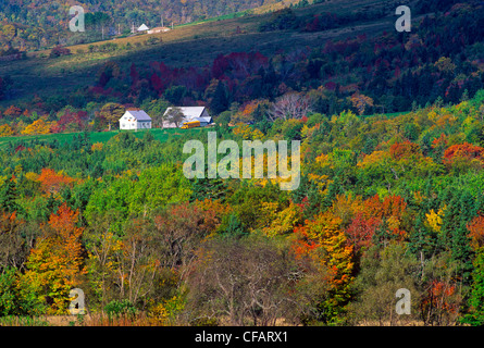 Mabou nella collezione autunno, Cape Breton Island, Nova Scotia, Canada. Foto Stock