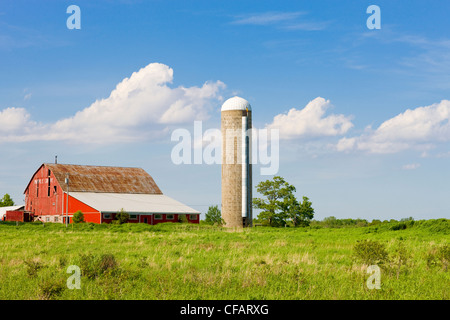 Granaio e silos in Scugog, Ontario, Canada. Foto Stock