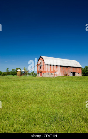 Granaio rosso in Cherry Valley, Prince Edward County, Ontario, Canada. Foto Stock