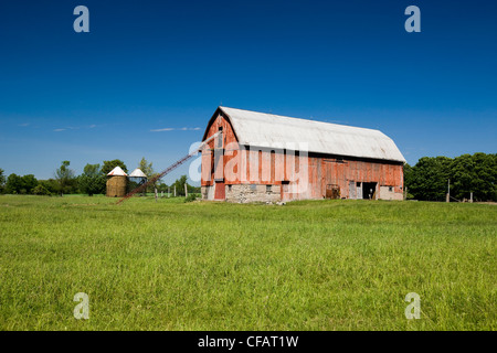 Granaio rosso in Cherry Valley, Prince Edward County, Ontario, Canada. Foto Stock