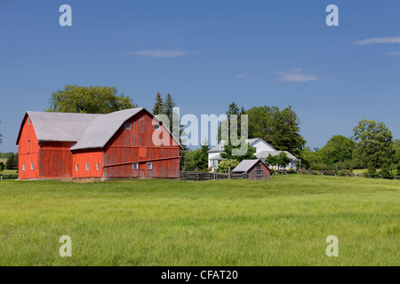 Granaio rosso e agriturismo in Cherry Valley, Prince Edward County, Ontario, Canada. Foto Stock