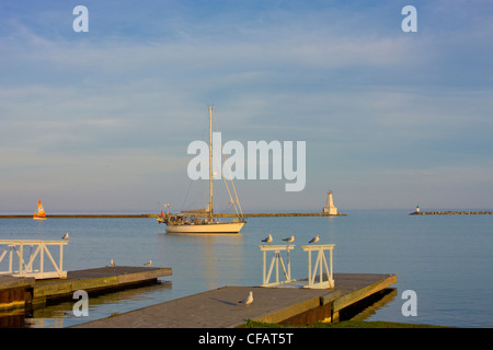 Gabbiani su un molo con barca a vela e il faro in background, Cobourg, Ontario, Canada. Foto Stock