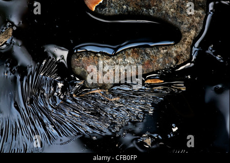 Close-up di catrame di fusione sulla strada Foto Stock