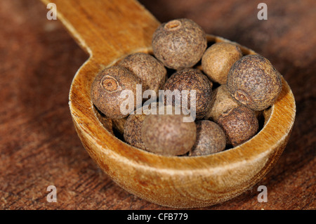 Macro shot di pepe nero (Piper nigrum) in cucchiaio di legno. Foto Stock