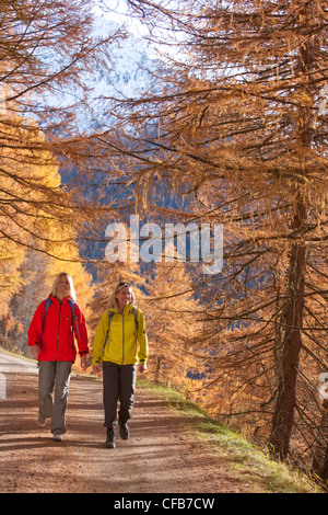 In autunno, guarda, donna donne, sentiero, legno, foresta, passeggiate, escursioni, trekking, del cantone dei Grigioni, Grigioni, Svizzera, Europ Foto Stock