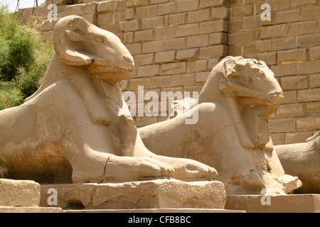 Viale di sfingi all'ingresso del grande tempio di Karnak dedicato al culto di Amon, nella città di Luxor in Egitto Foto Stock