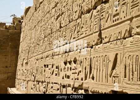 Geroglifici in bassorilievo del grande tempio di Karnak dedicato al culto di Amon, nella città di Luxor in Egitto Foto Stock