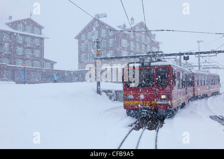 Road, la stazione ferroviaria, il Treno, Ferrovia, montagna, montagne, ferrovia di montagna, neve, turismo, vacanze, traffico, trasporti, inverno, la neve Foto Stock