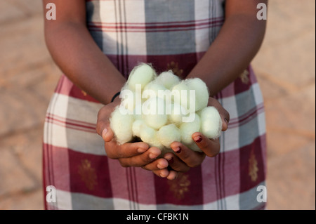 Ragazza indiana holding bozzoli di bachi da seta nelle sue mani. Andhra Pradesh, India Foto Stock