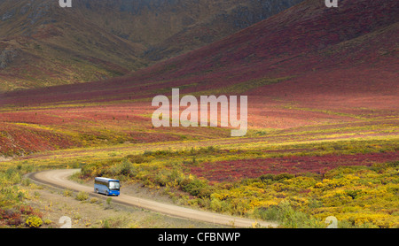 Tour bus, Dempster Highway, Lapide parco territoriale, Yukon Territory, Canada Foto Stock