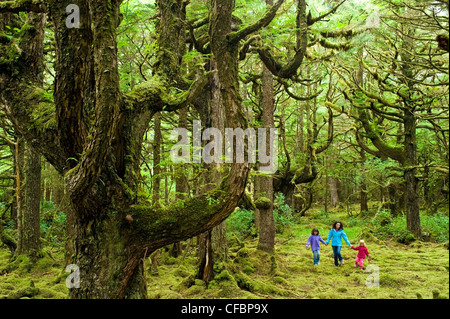 La madre e le figlie nella foresta di muschio, Naikoon Provincial Park, Queen Charlotte Islands, British Columbia, Canada Foto Stock