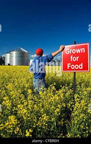 Un agricoltore si affaccia sulla sua fioritura di raccolto di canola con 'cresciuti per alimentare" segno nel campo vicino a Carey, Manitoba, Canada Foto Stock