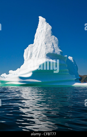 Iceberg galleggianti in Trinity Bay off la penisola di Bonavista orientale di Terranova, Terranova e Labrador, Canada. Foto Stock