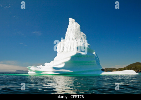 Iceberg galleggianti in Trinity Bay off la penisola di Bonavista orientale di Terranova, Terranova e Labrador, Canada. Foto Stock