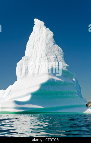 Iceberg galleggianti in Trinity Bay off la penisola di Bonavista orientale di Terranova, Terranova e Labrador, Canada. Foto Stock