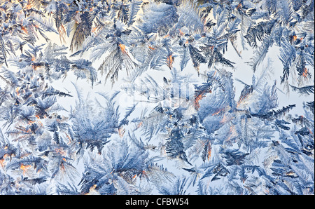 Frost pattern a sunrise Foto Stock