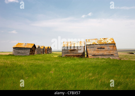 Azienda abbandonata in Bad Hills, Canada, Saskatchewan. Foto Stock