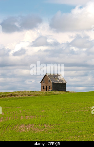 Azienda abbandonata vicino Kincaid, Saskatchewan, Canada. Foto Stock