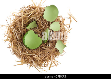 Nido di paglia con gusci di uova rotti su bianco studio shoot Foto Stock