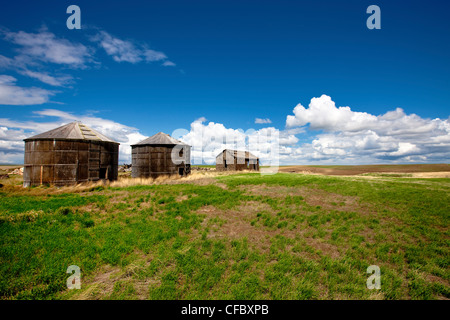 Azienda abbandonata vicino a Val Marie, Saskatchewan, Canada. Foto Stock