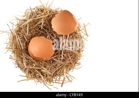 Nido di paglia con gusci di uova rotti su bianco studio shoot Foto Stock