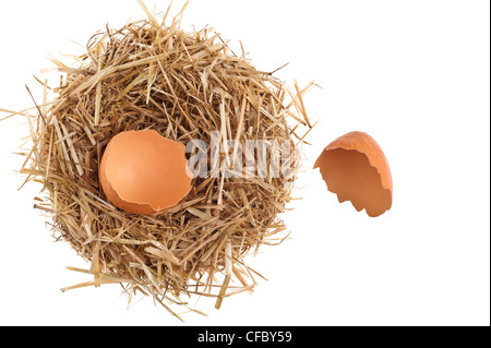 Nido di paglia con gusci di uova rotti su bianco studio shoot Foto Stock