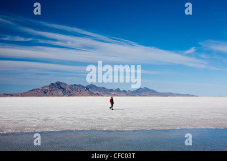Stati Uniti d'America, Utah, Bonneville, saline, grande, curioso, dolce, secco, piatta, viaggi, enorme, uomo, natura, sale, turistica, insolito, bianco Foto Stock