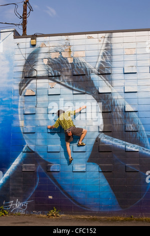 Un scalatore buildering in Nanaimo, Isola di Vancouver, BC Foto Stock