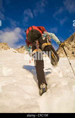 Una femmina di scalatore ascende al bugaboo/snowpatch col, Bugaboo Parco Provinciale, BC Foto Stock