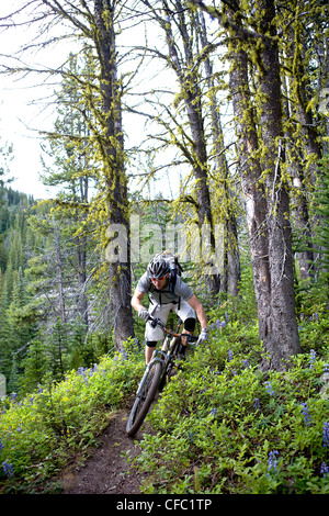 Chilco mountain bike leccare Creek Andreas Hestler Foto Stock