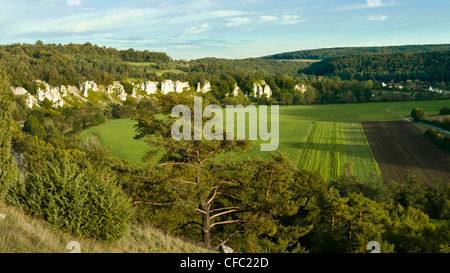 Altmühltal, parco naturale, Baviera, Baviera, Germania, riverscape, pino, paesaggio culturale, scenario, Pinus sylvestris, Solnh Foto Stock